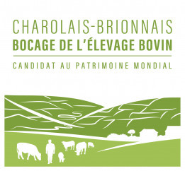 Charolais - Brionnais - Bocage de l'élevage bovin